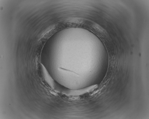 X0000065970774200603101356