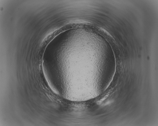 X0000065970775200603101356