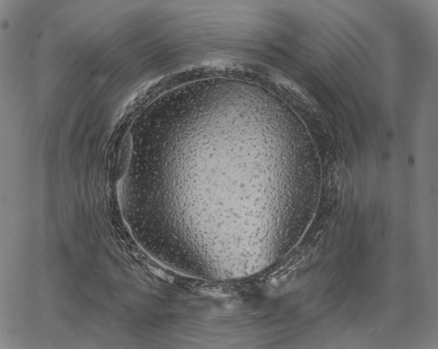 X0000065970776200603101356