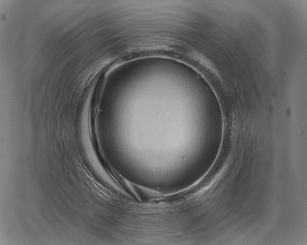 X0000065970777200603101356