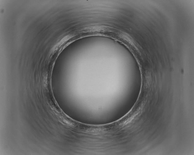 X0000065970778200603101356