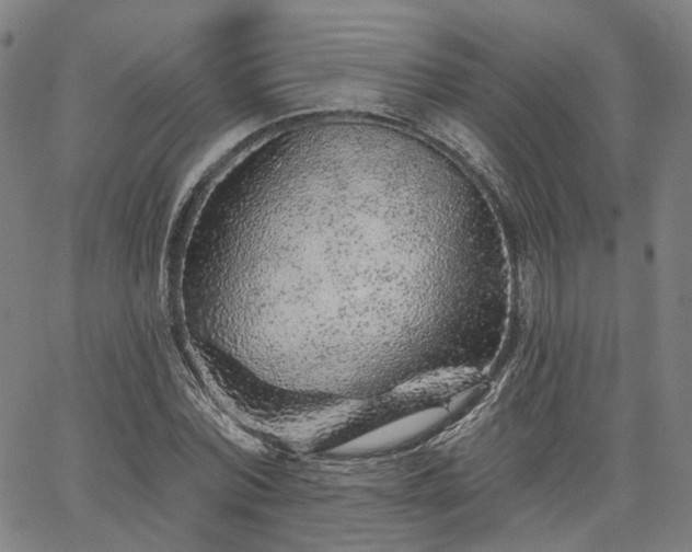 X0000065970780200603101356