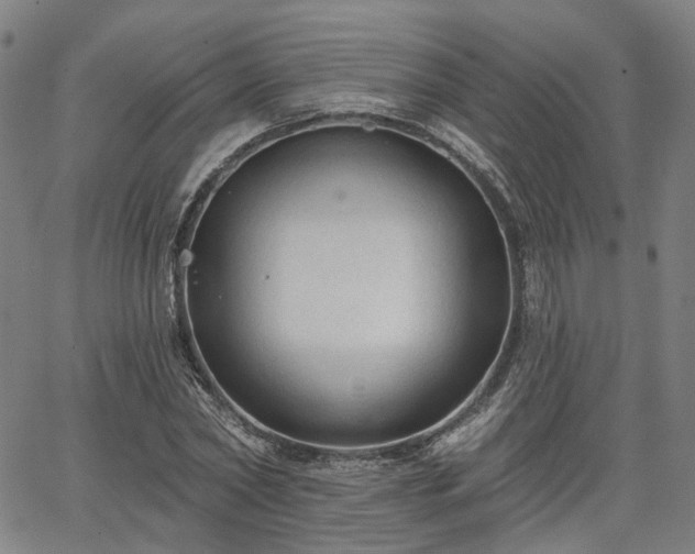 X0000065970782200603101356