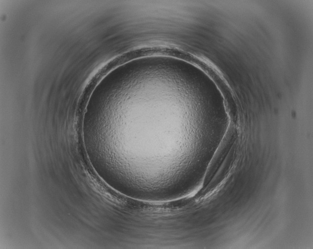 X0000065970783200603101356