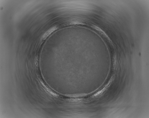 X0000065970785200603101356