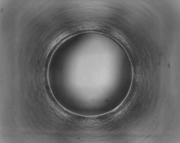 X0000065970786200603101356