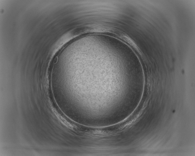 X0000065970787200603101356