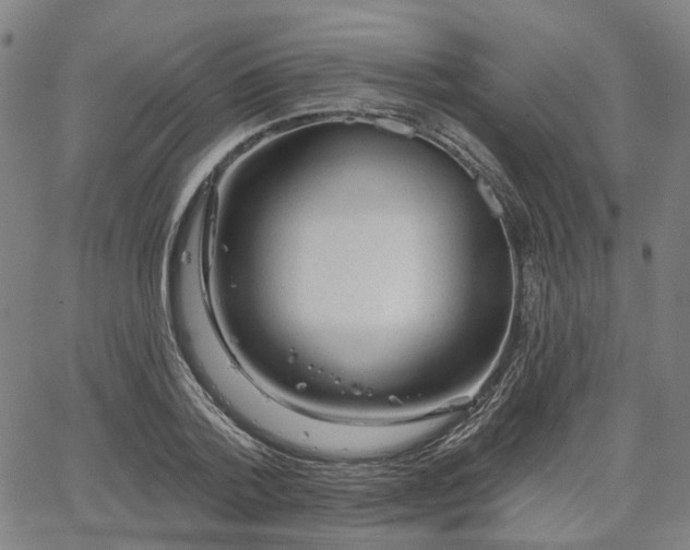 X0000065970788200603101356