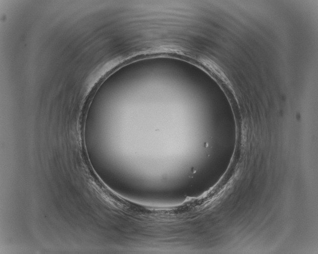 X0000065970789200603101356