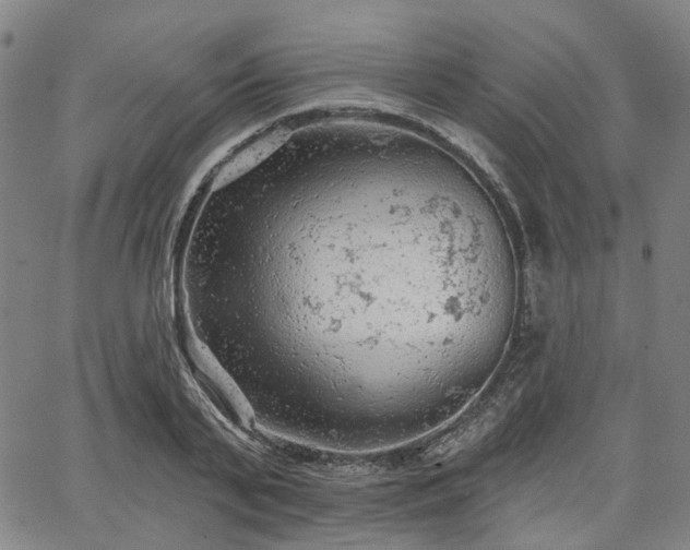 X0000065970791200603101356