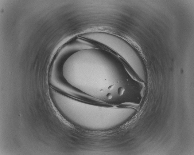 X0000065970792200603101356