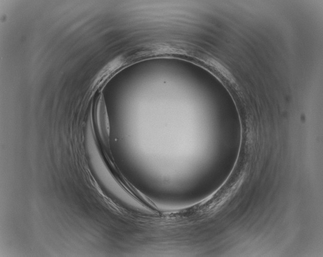 X0000065970793200603101356