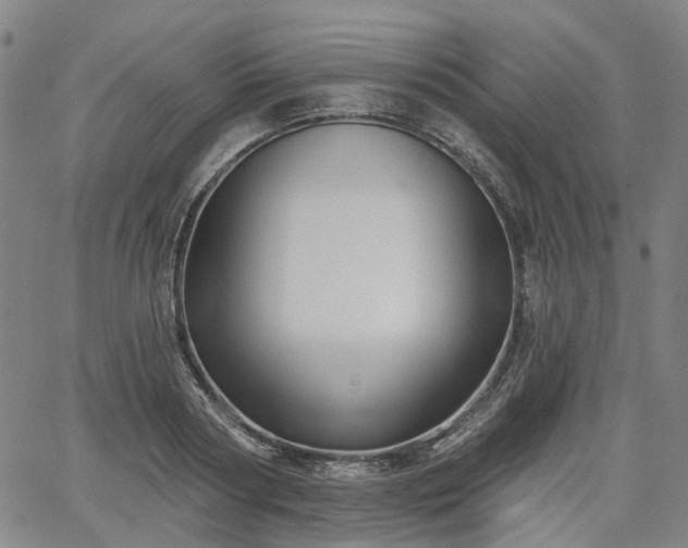 X0000065970794200603101356