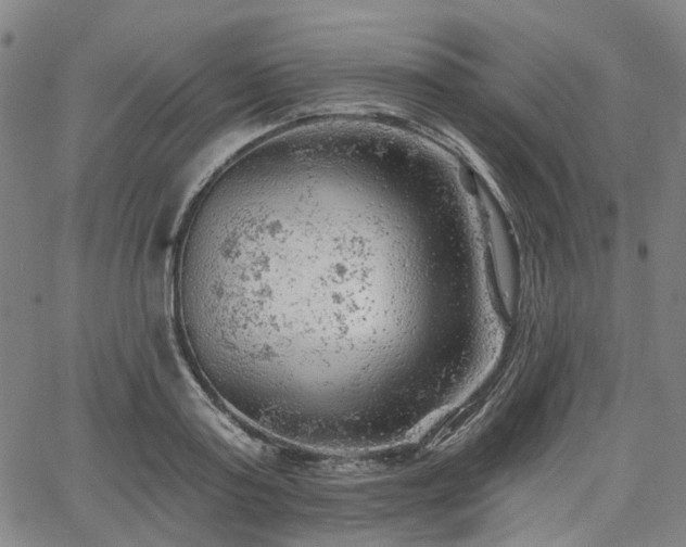 X0000065970795200603101356