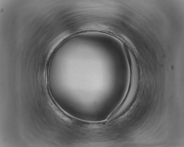 X0000065970796200603101356