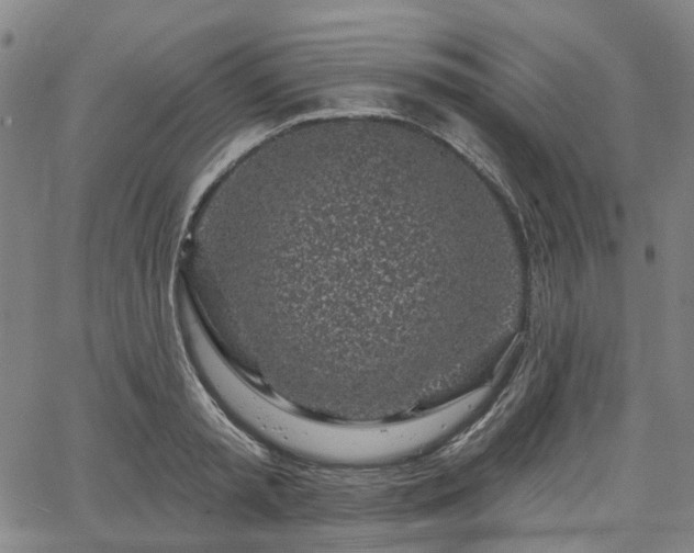 X0000065970797200603101356