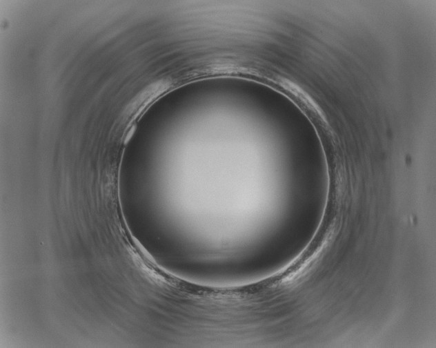 X0000065970801200603101356