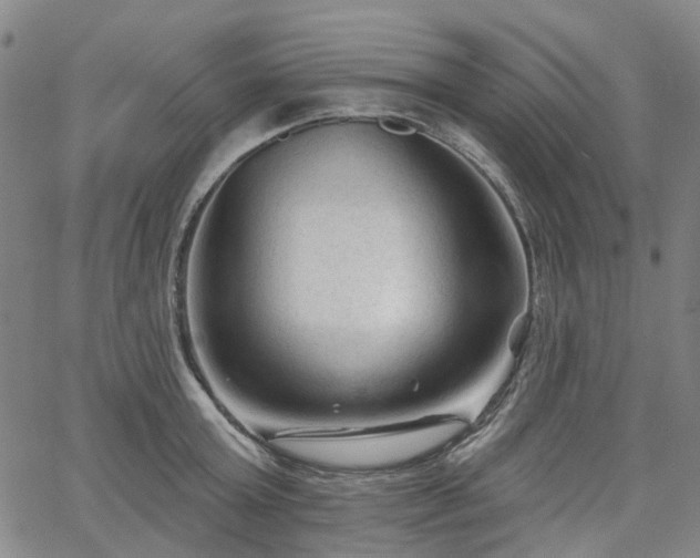 X0000065970803200603101356