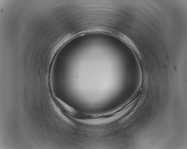 X0000065970805200603101356