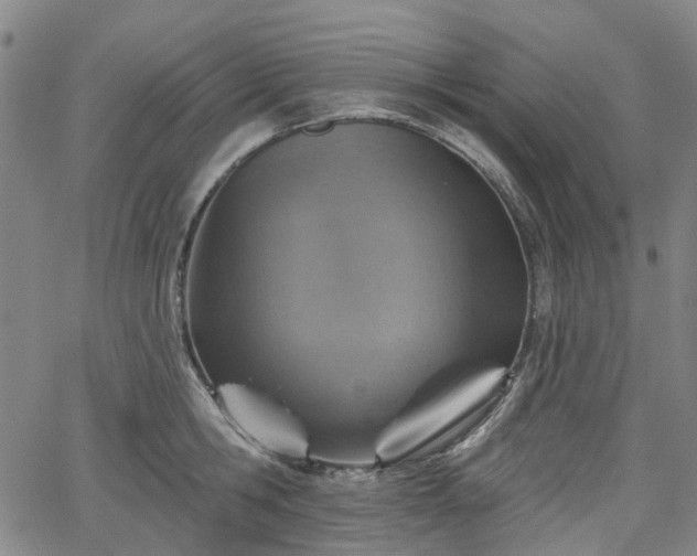 X0000065970806200603101356