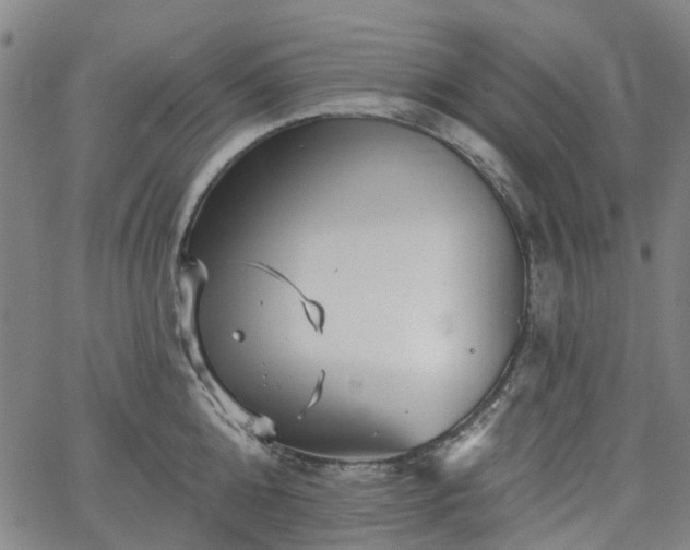 X0000065970808200603101356