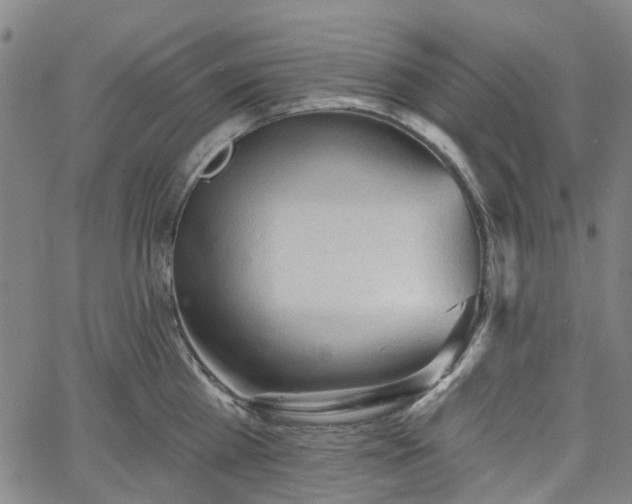 X0000065970809200603101356