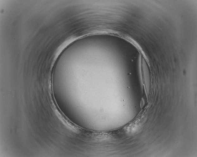 X0000065970811200603101356