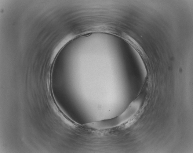 X0000065970812200603101356