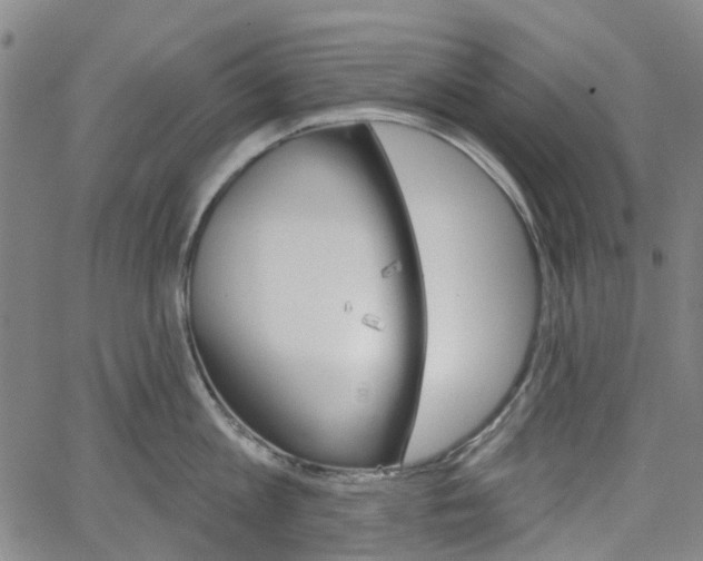 X0000065970813200603101356