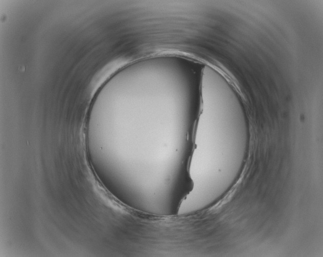 X0000065970814200603101355