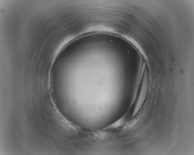 X0000065970815200603101355