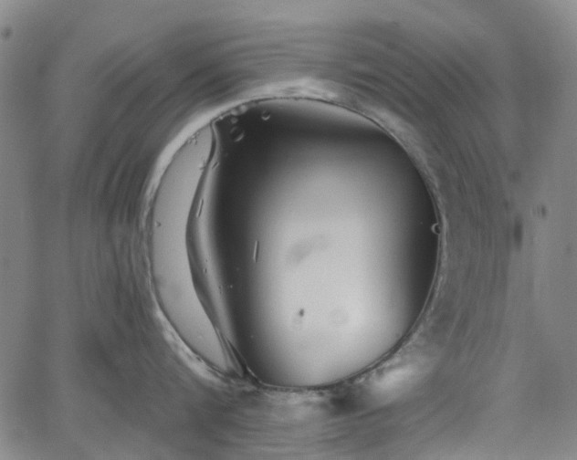 X0000065970816200603101355