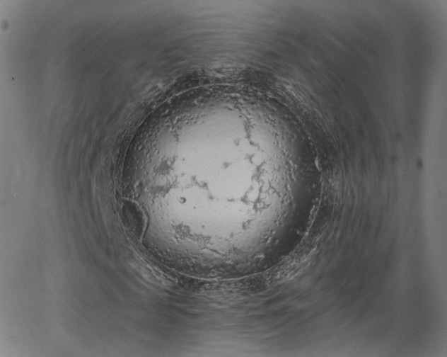 X0000065970817200603101355