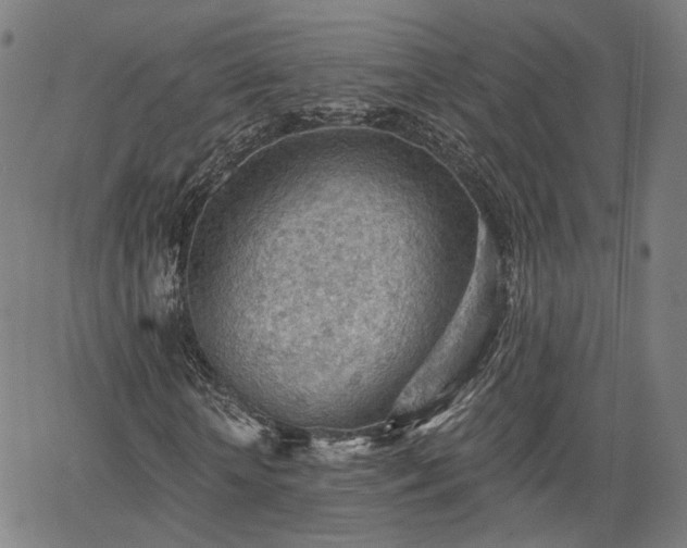 X0000065970818200603101355