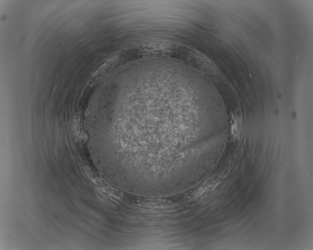 X0000065970819200603101355