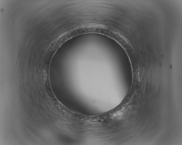 X0000065970821200603101355