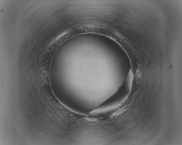 X0000065970822200603101355