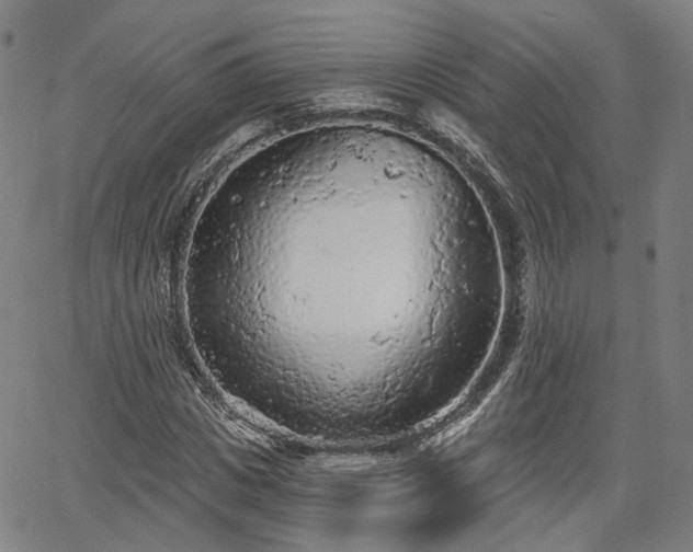 X0000065970825200603101355