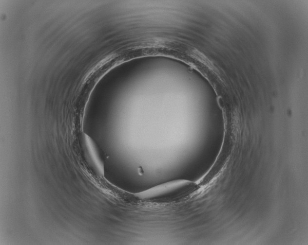 X0000065970826200603101355