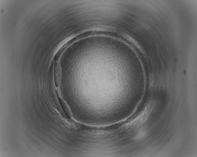 X0000065970829200603101355