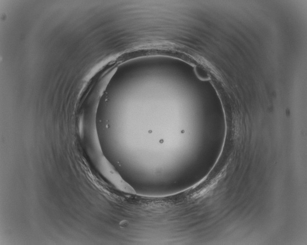 X0000065970830200603101355