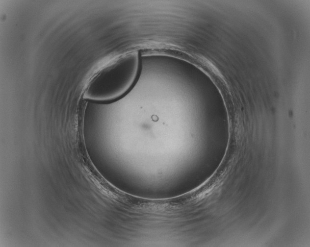 X0000065970831200603101355