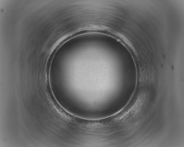 X0000065970837200603101355