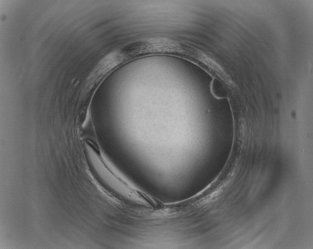 X0000065970841200603101355