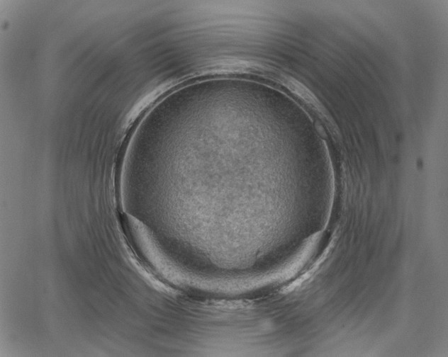 X0000065970842200603101355