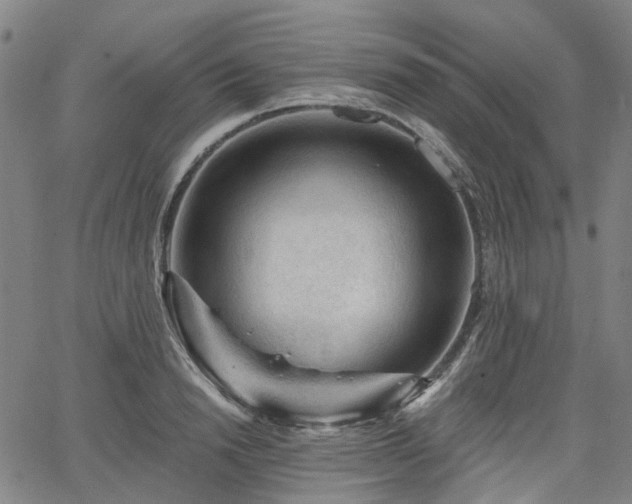 X0000065970846200603101355