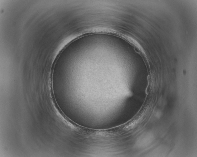 X0000065970847200603101355