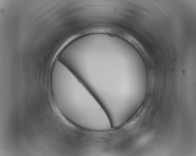 X0000065970852200603101355