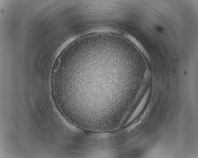 X0000065970853200603101355