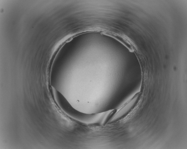 X0000065970854200603101355